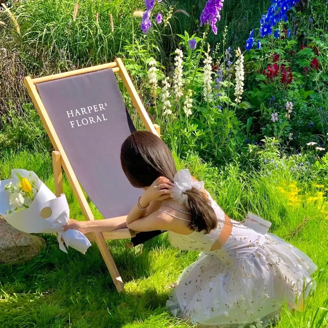 湾畔倾情第六季